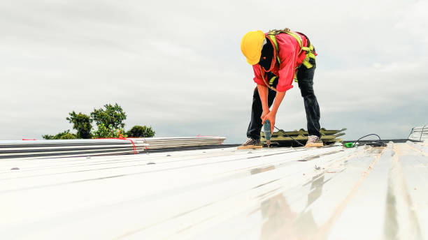 Best Solar Panel Roofing Installation  in Antioch, IL